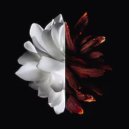 Givenchy L’Interdit Rouge Eau de parfumEDP 80 Ml kadın parfüm