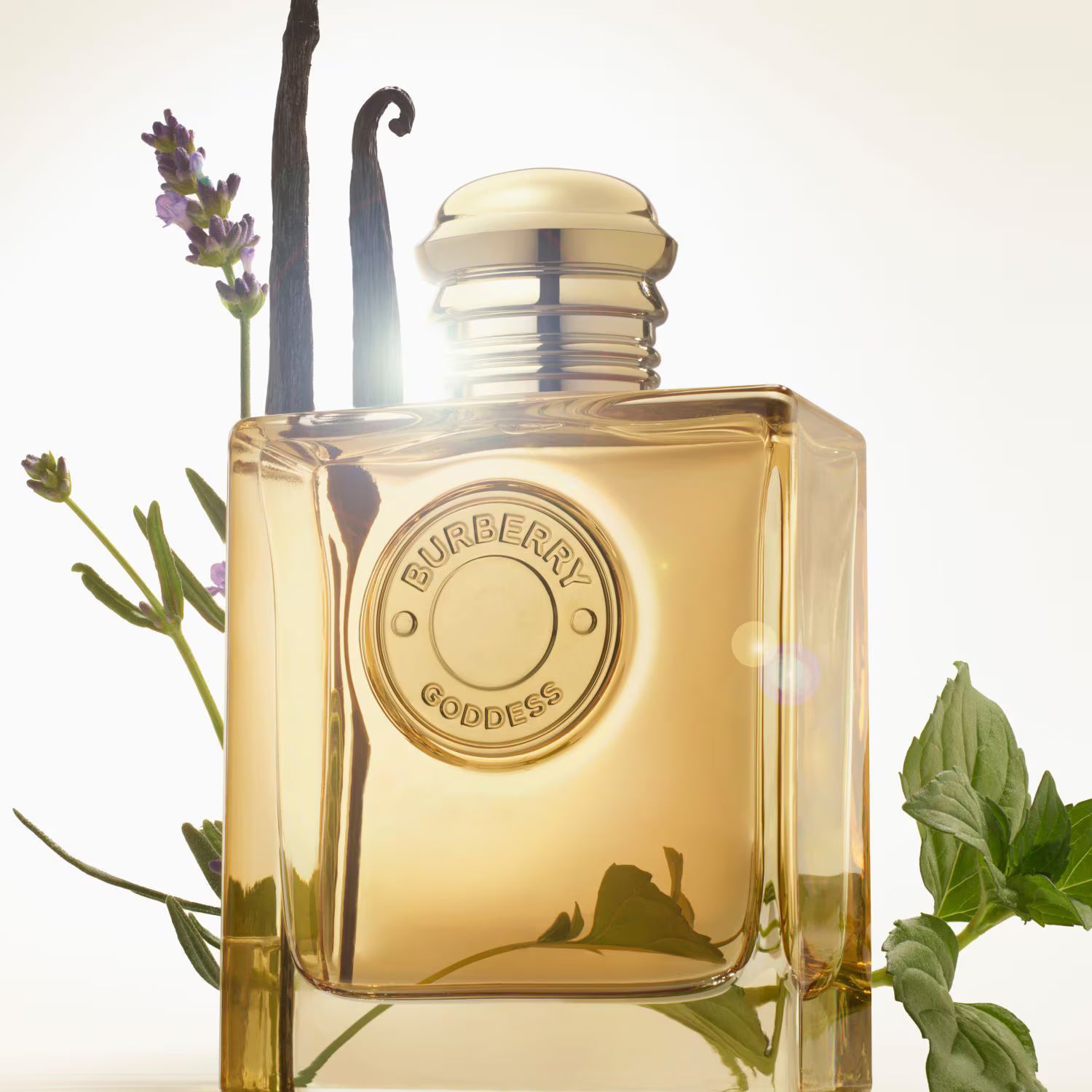 Burberry Goddess Intense EDP 100 ml Kadın Parfüm