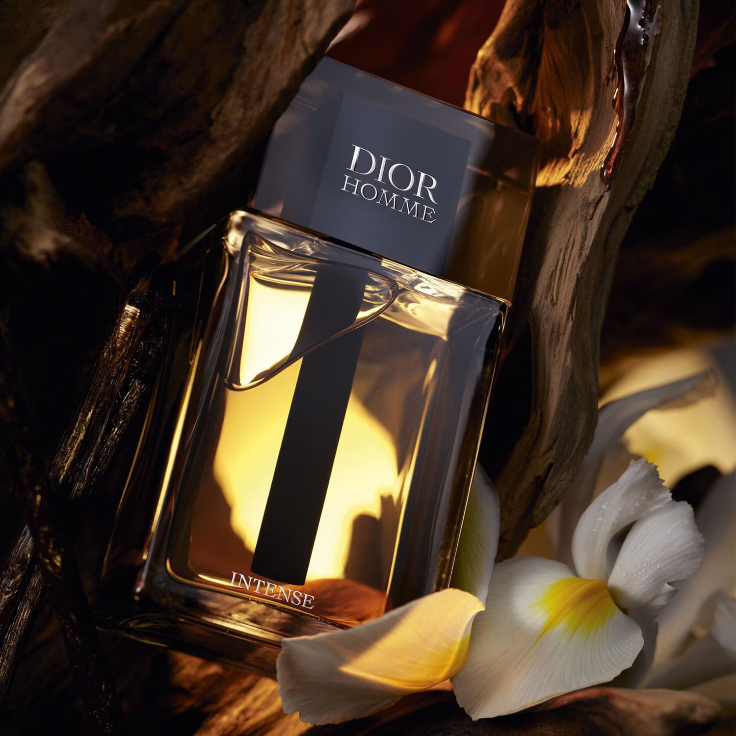 Dior Homme Intense - Eau de Parfum 100 Ml erkek parfümü