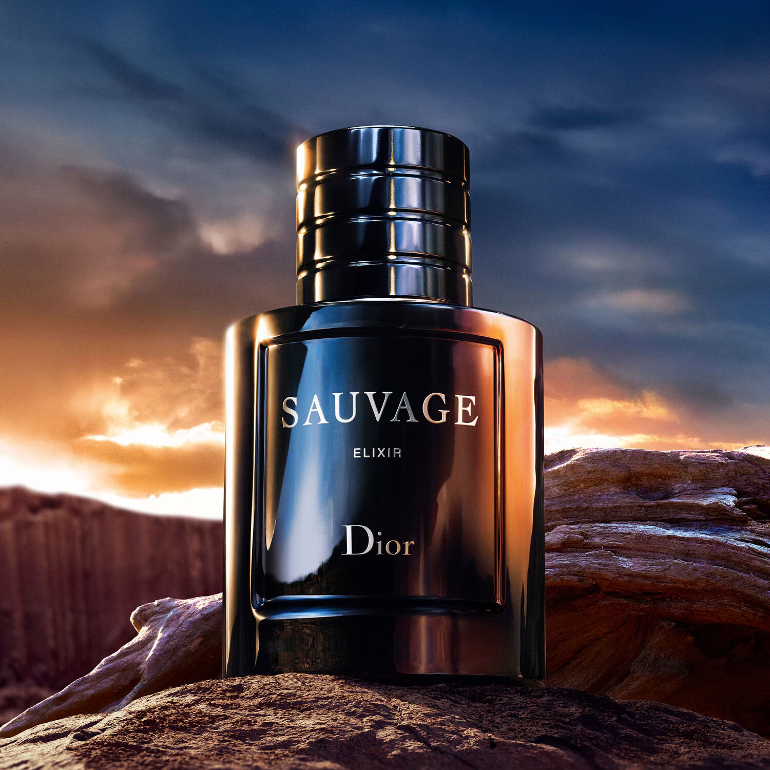 Christian Dior Sauvage Elixir EDP 60 Ml Erkek Parfüm